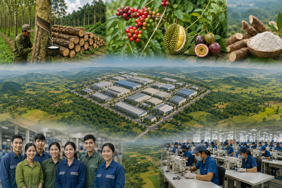 Định hướng kinh doanh